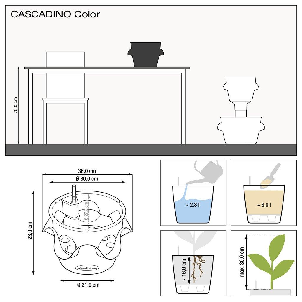 CASCADINO COLOR