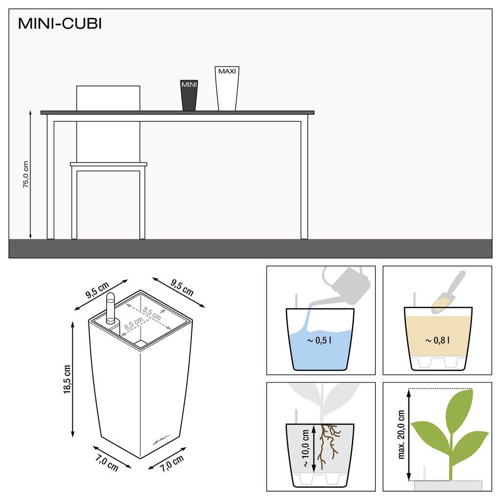 MINI-CUBI UND MAXI-CUBI