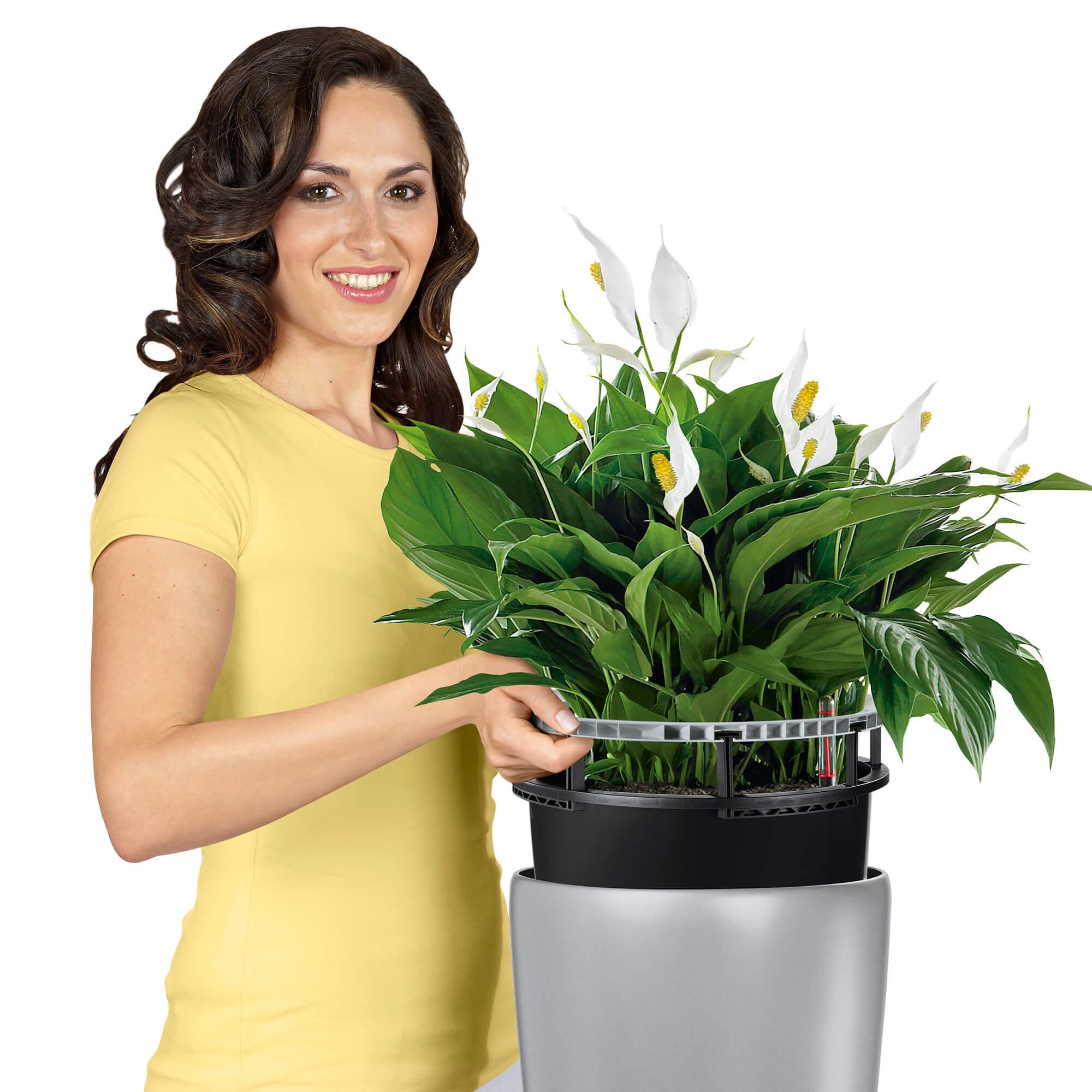 le_rondo_product_content_liner le_rondo_product_content_liner
