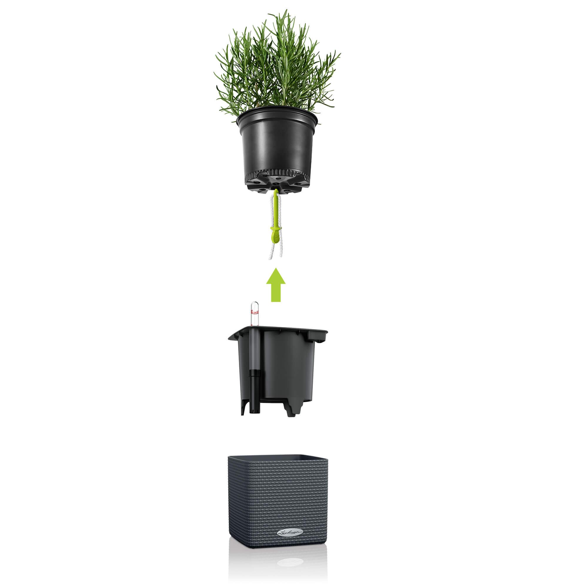 le_cube-color_product_content_01 le_cube-color_product_content_01