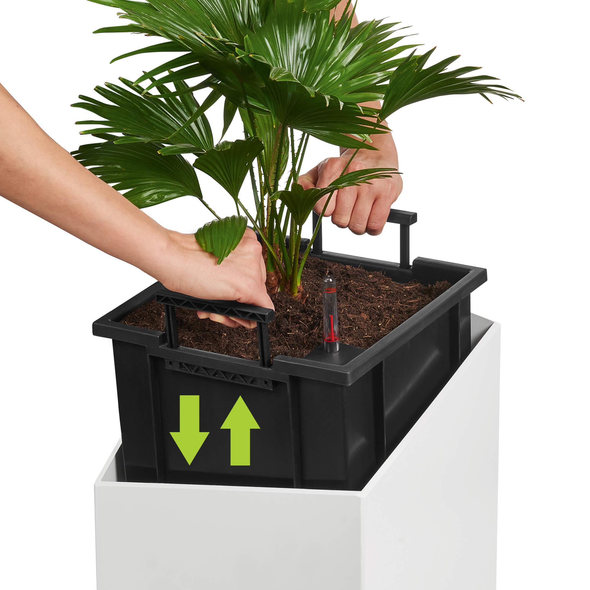 le_cursivo_product_content_liner le_cursivo_product_content_liner