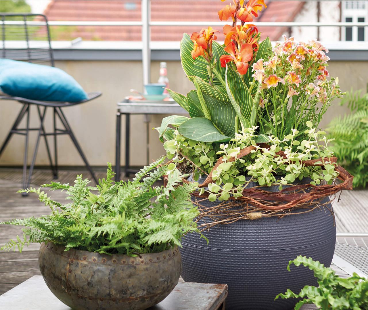 le_tw-urban-gardening_puro_gr le_tw-urban-gardening_puro_gr