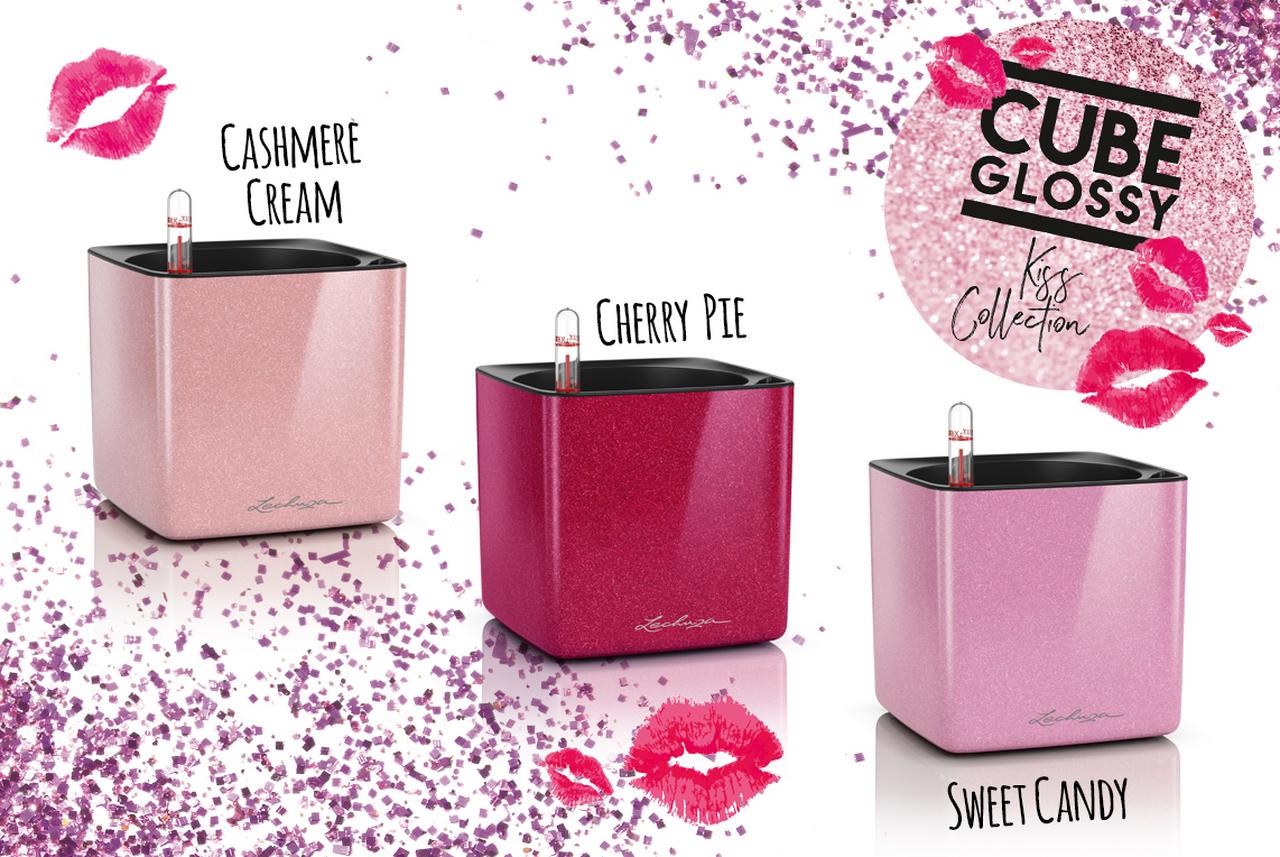 Glossy Kiss Collection