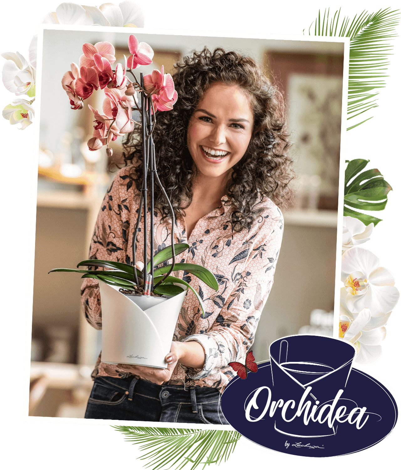 ORCHIDEA Der All-in-one Orchideentopf