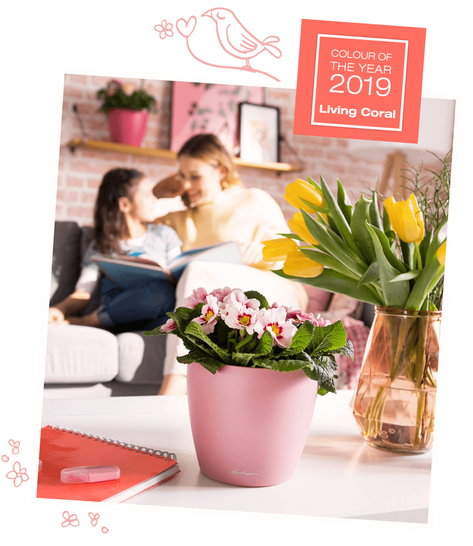 CLASSICO Color 18 pearl rose CLASSICO Color 18 pearl rose