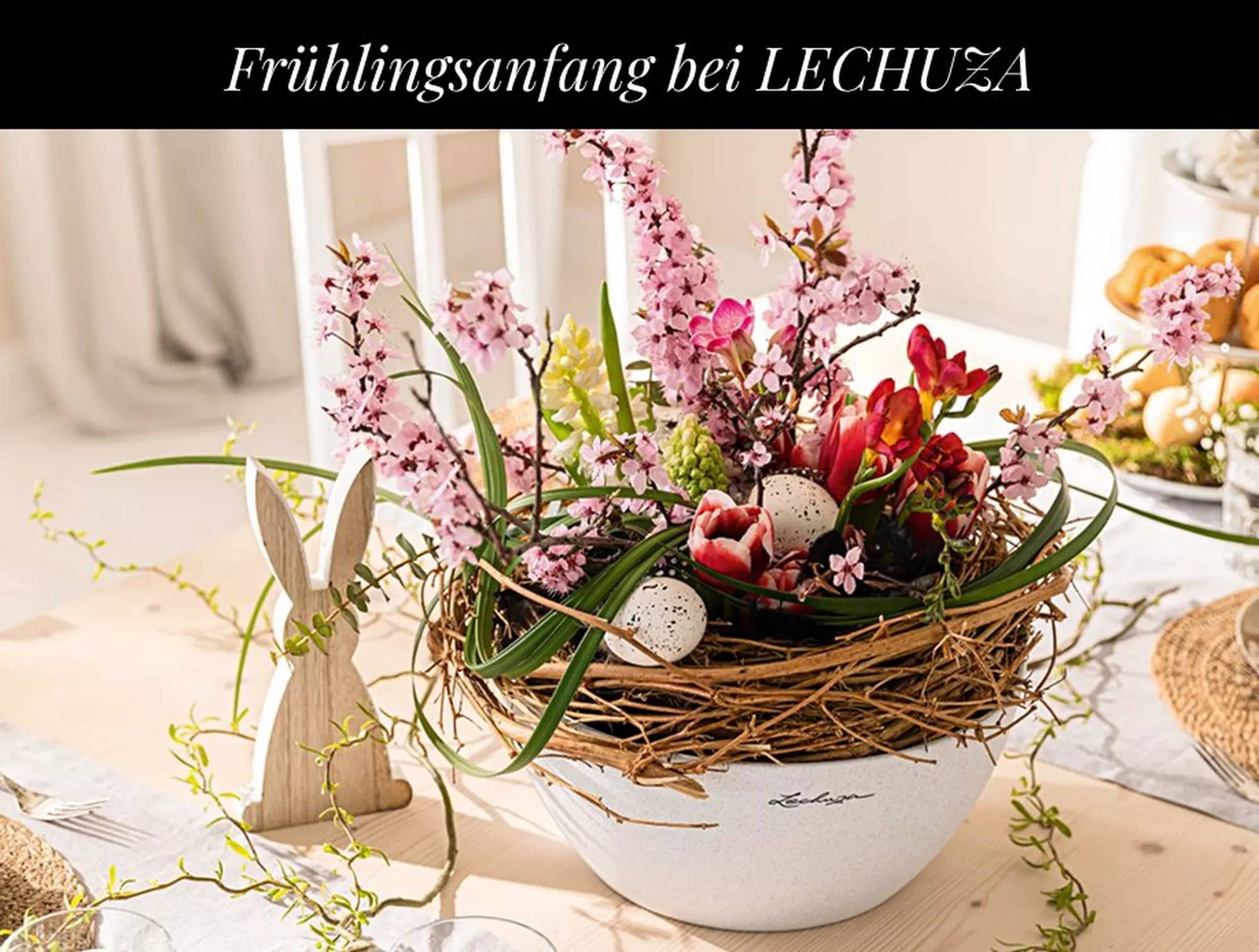 hero_banner_coral-crush_xs