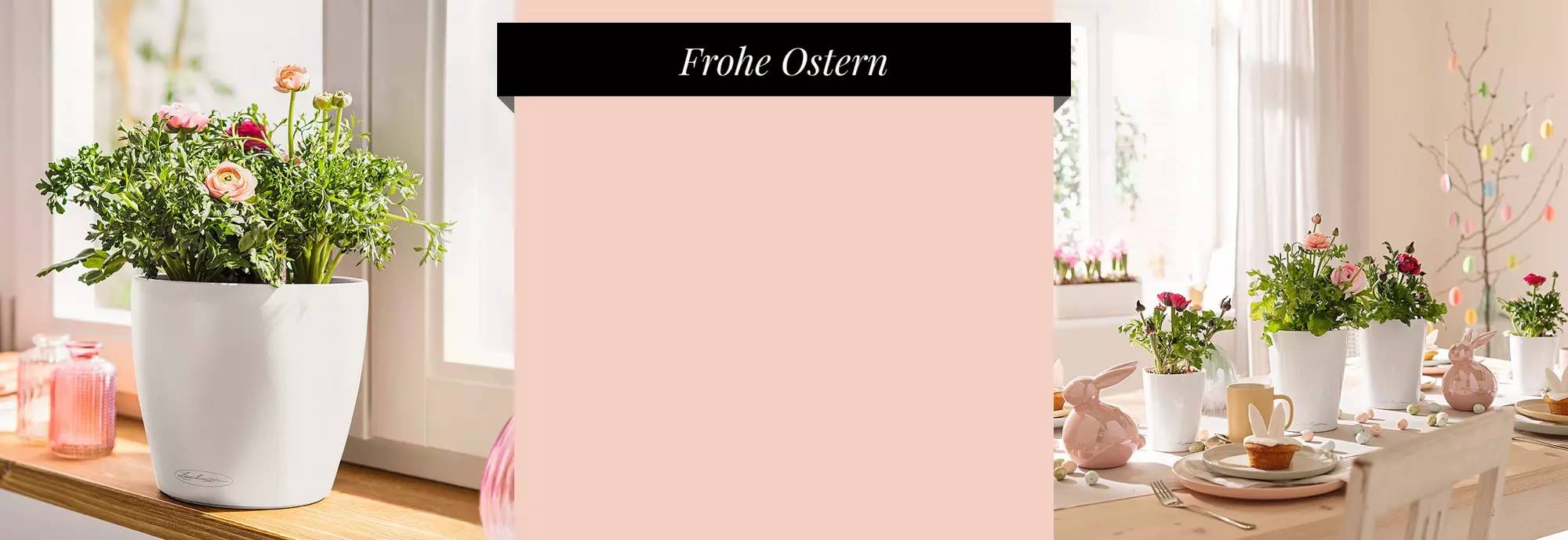 hero_banner_coral-crush