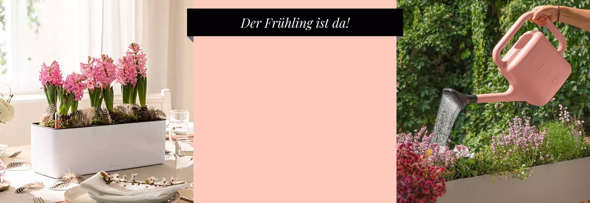 hero_banner_coral-crush