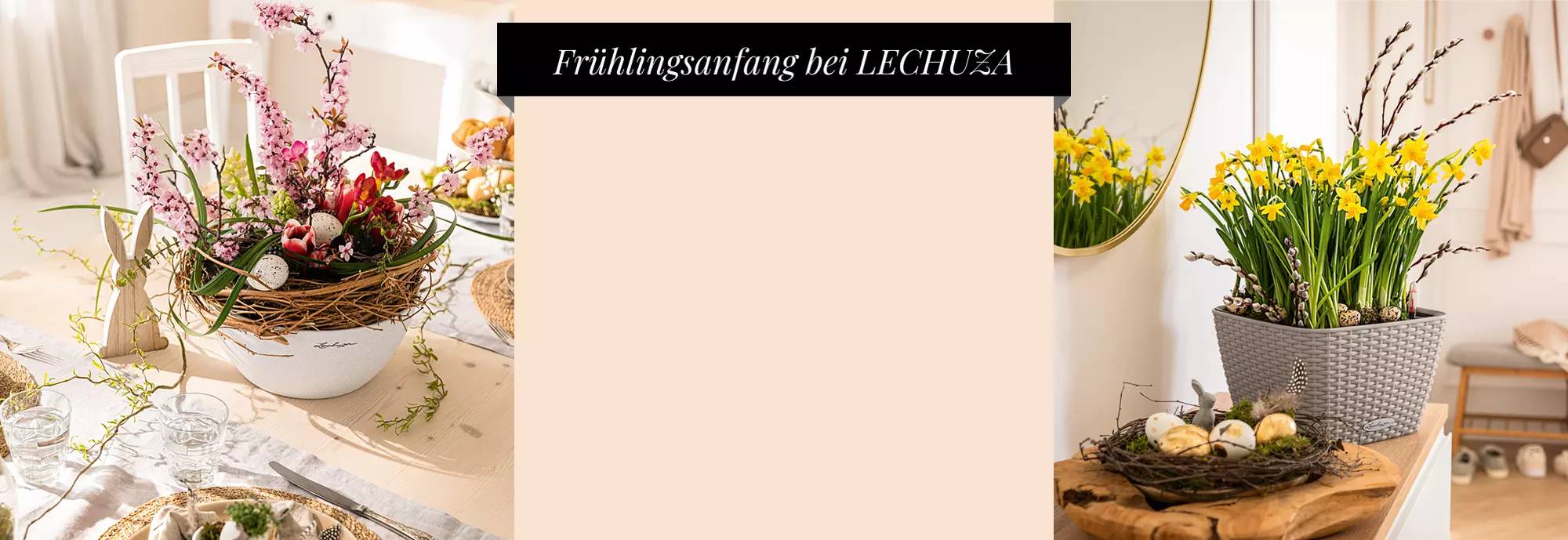 hero_banner_coral-crush