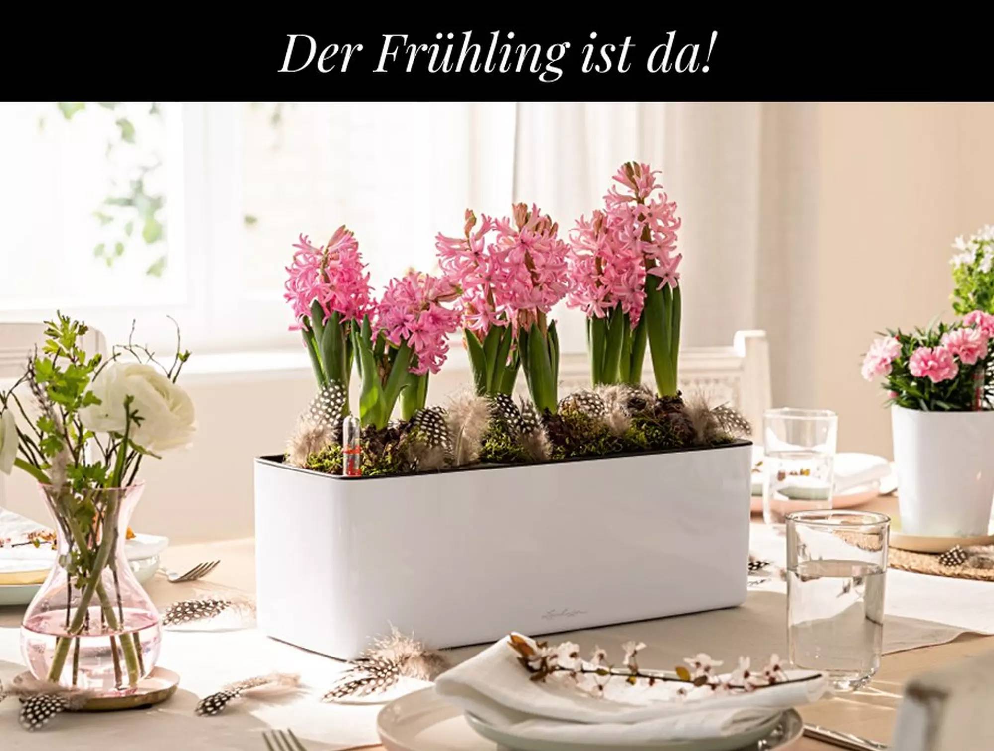 hero_banner_coral-crush_xs