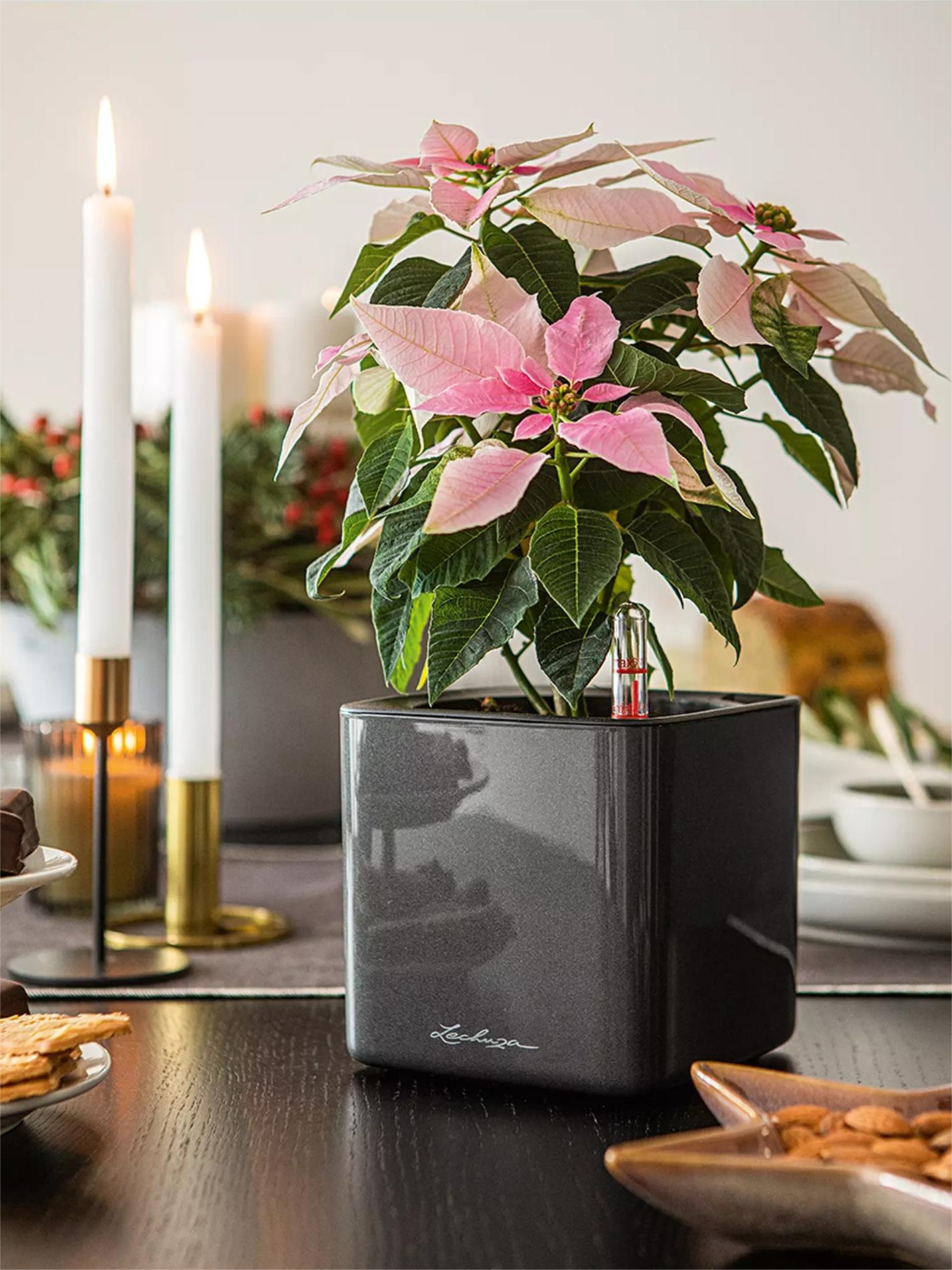 Cube Glossy 14 Cube Glossy 14