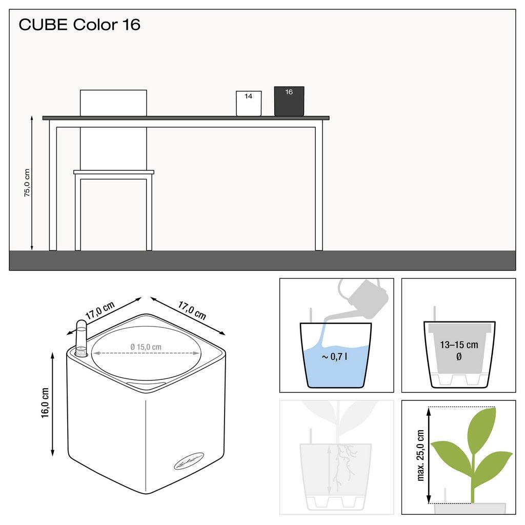 CUBE COLOR