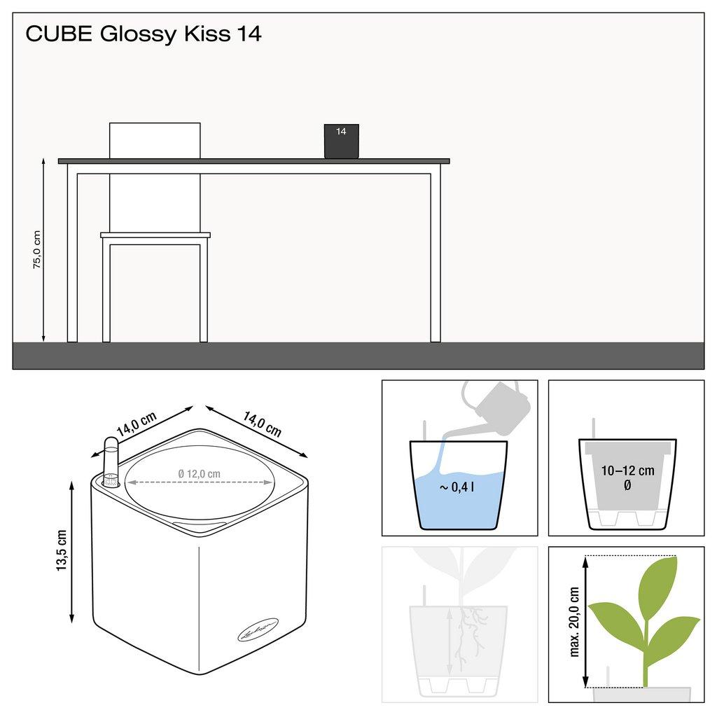 CUBE GLOSSY KISS